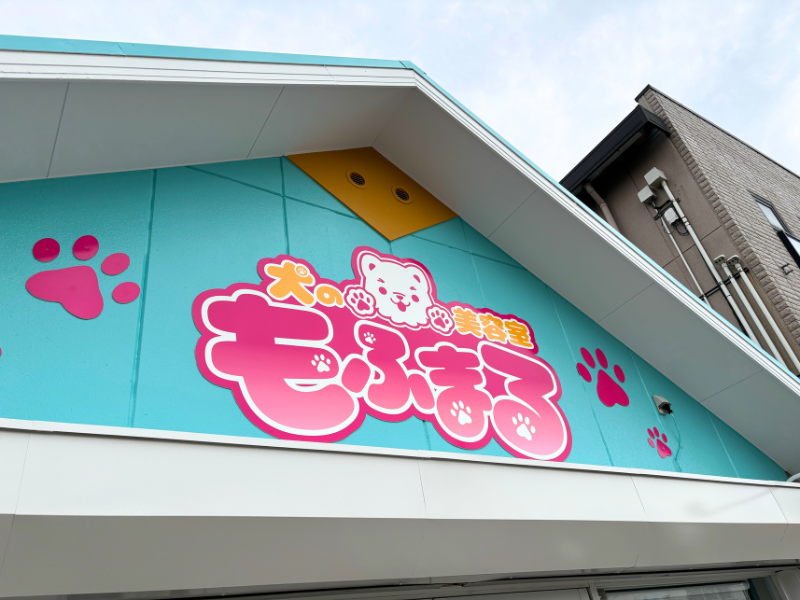 私たちについて